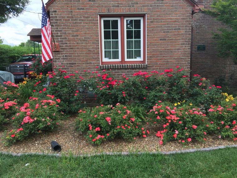 From The Ground Up landscaping work photo